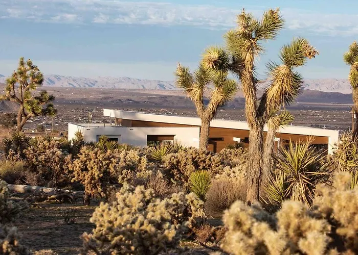 The Lele, Joshua Tree